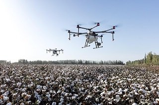 Drone in agriculture